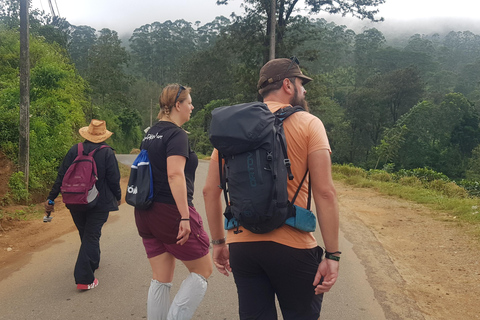 Hantana Mountain Range Pekoe Trail Full Day Hike from Kandy