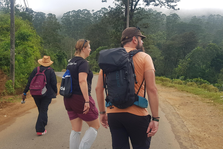 Hantana Mountain Range Pekoe Trail Full Day Hike from Kandy