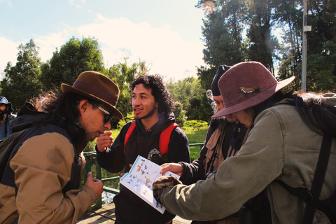 Birdwatching in Bogotá wetlands with Bakata Pajarera