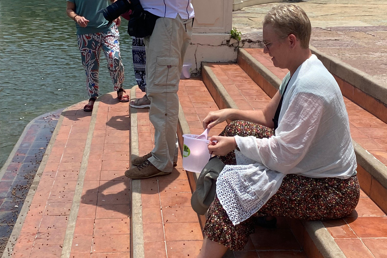 Bangkok: Ayutthaya Temples and Palace Day Trip with Lunch