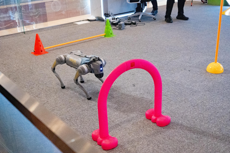 上海：最新日常科技，包括机器人、电动汽车和无人机标准套餐（含无人机送货体验）