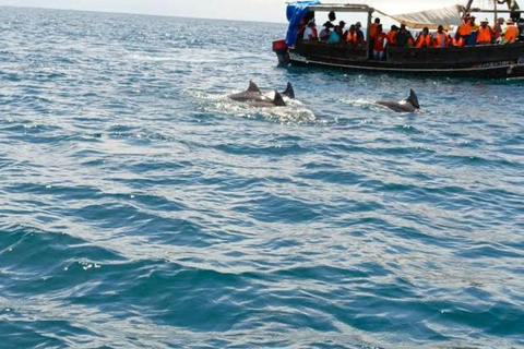 Wasini Island Tour For Dolphin Watching & Snorkeling