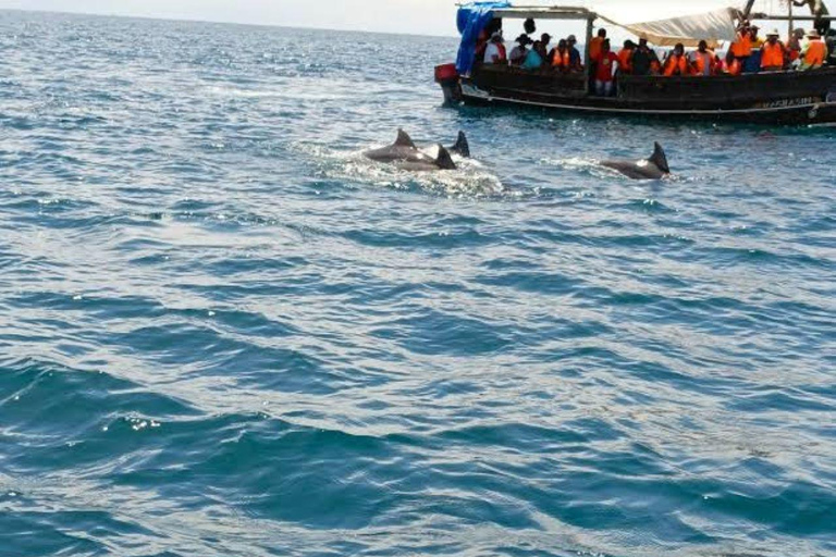Wasini Island Tour For Dolphin Watching & Snorkeling