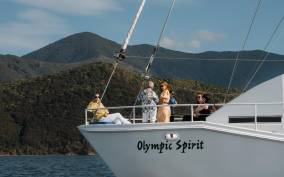 From Picton: Marlborough Sounds Cruise with Seafood
