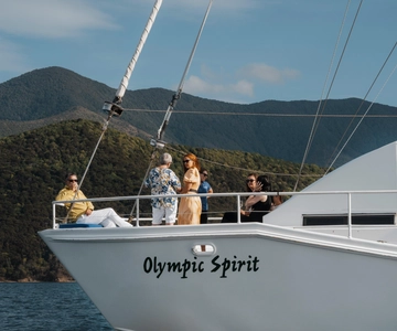 From Picton: Marlborough Sounds Cruise with Seafood
