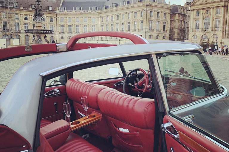 Private Luxury Wine Tour of Médoc vineyard in a Citroën DS Half-day (4 to 5H)