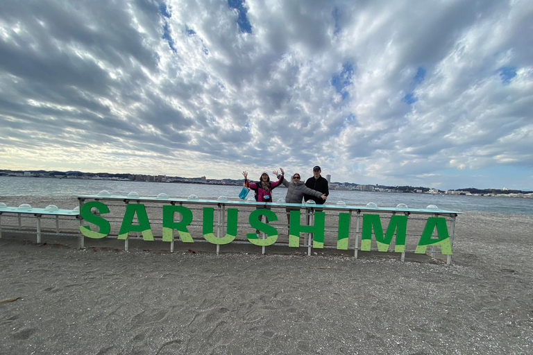 Yokosuka: Boat Trip to Natural Island and Naval Port Cruise