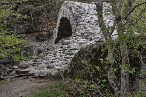 Hiking the Secret Rkoni: Historic Path & Forest Picnic