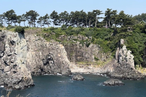 Jeju Trendy Café Tour and When Life Gives You Tangerines