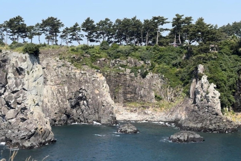 Jeju Trendy Café Tour and When Life Gives You Tangerines