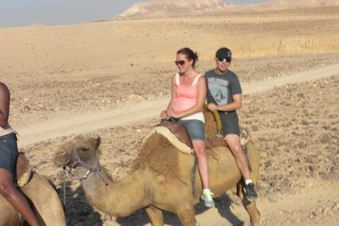 Agadir: Paseo en camello con té y traslados