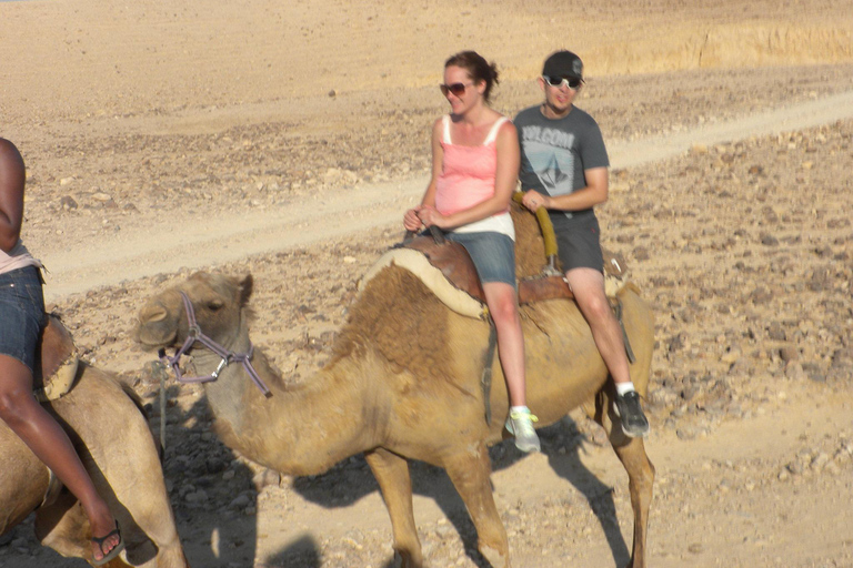 Agadir: Paseo en camello con té y traslados