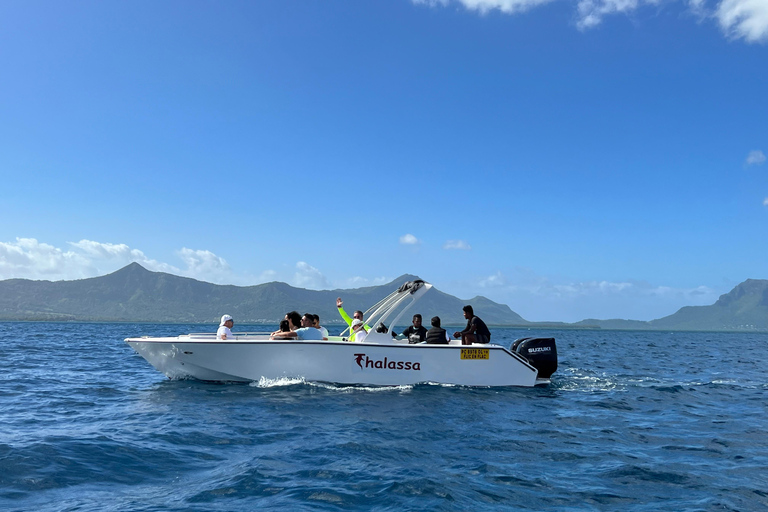 Mauritius Eco Whales Quest, 3-4 Stunden ExpeditionOption Gruppenfreigabe