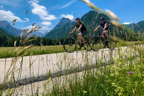 Bled: E-bike tocht langs het meer van Bled & Triglav Nationaal Park Picknick