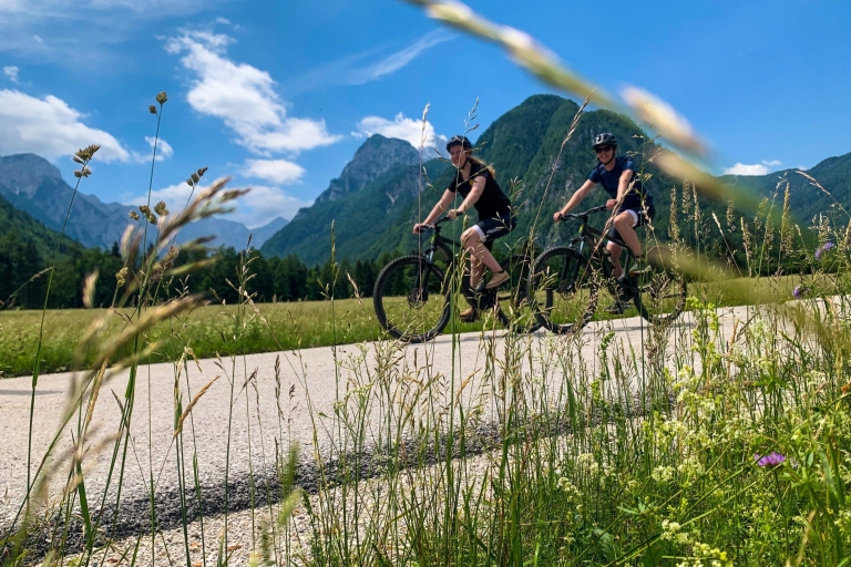 Bled: E-bike tocht langs het meer van Bled & Triglav Nationaal Park Picknick