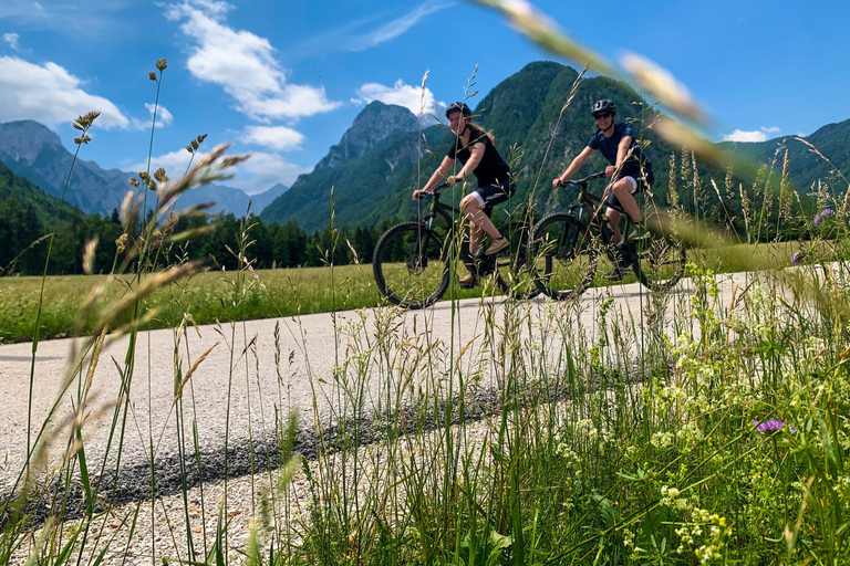 Bled: E-bike tocht langs het meer van Bled & Triglav Nationaal Park Picknick