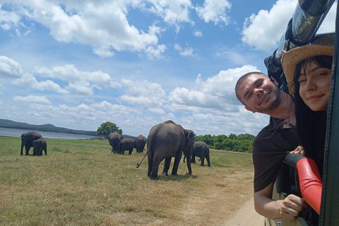 From Dambulla: Sigiriya Rock Fortress and Minneriya Safari