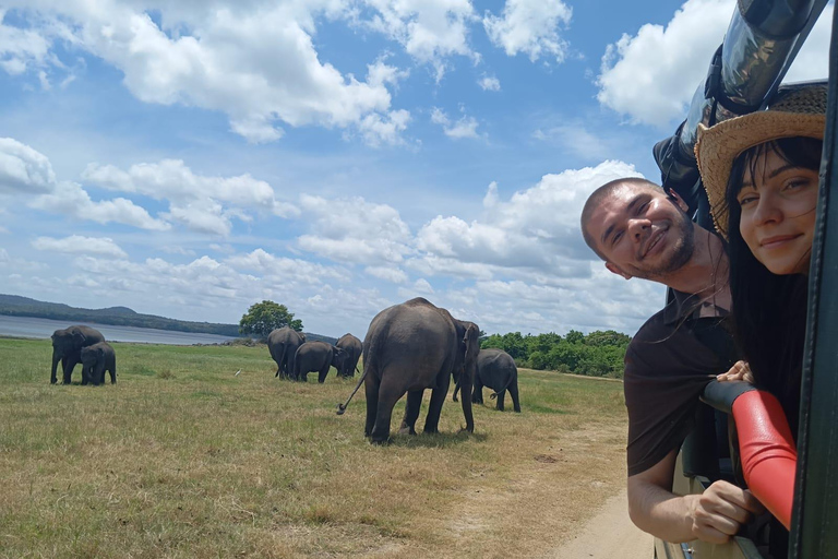 Desde Dambulla: Fortaleza de la Roca de Sigiriya y Safari en Minneriya