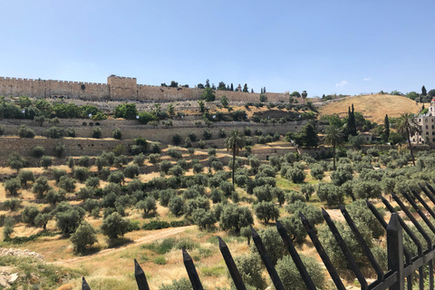 Mount Tabor, Beit She'an and Yardenit Baptismal Site Tour