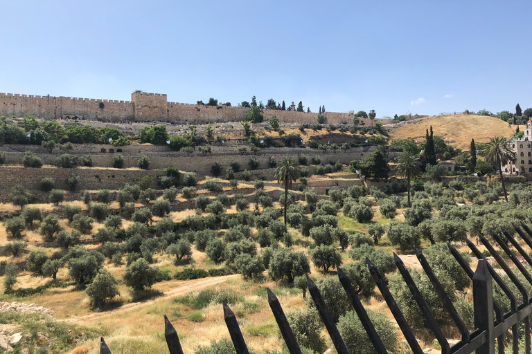 Mount Tabor, Beit She'an and Yardenit Baptismal Site Tour