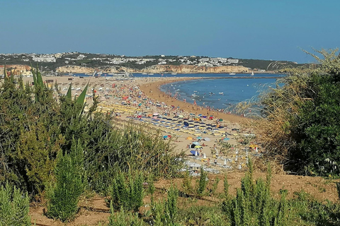 Depuis Lisbonne : Transfert privé vers Lagos/Portimão/Carvoeiro