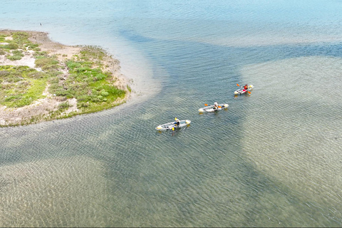 San Diego: excursión en kayak para observar la fauna salvaje en aguas cristalinasSan Diego: excursión en kayak para observar la fauna salvaje con aguas cristalinas