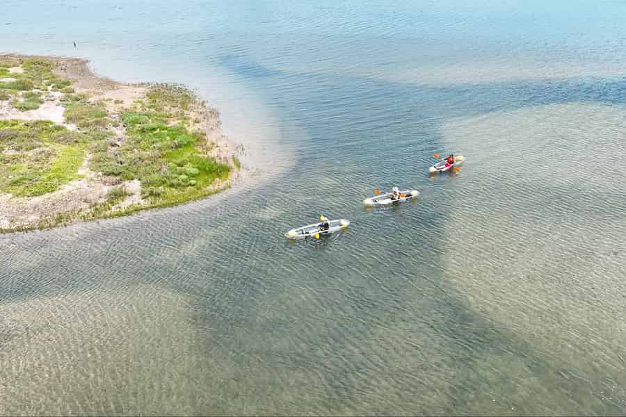 San Diego: Kristallklare Wildtier-Kajaktour. Foto: GetYourGuide