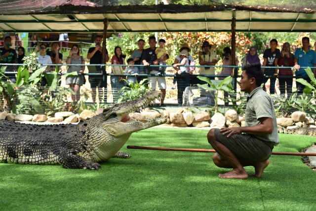 Visit Kedah Crocodile Adventureland Langkawi Admission Ticket in Langkawi
