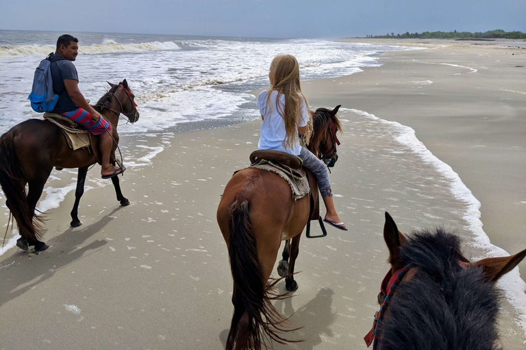 From Huatulco: Beach Horseback Riding Experience Regular Beach Horseback Riding Tour (2 hours)