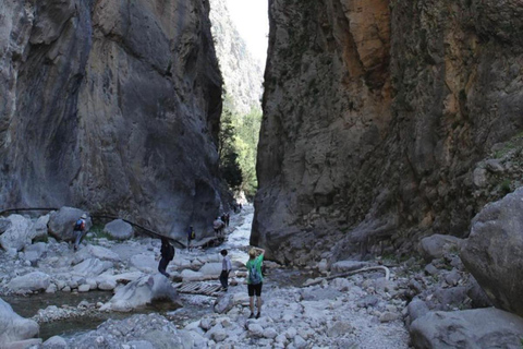 Da Heraklion, Agia Pelagia, Malia: Escursione alle Gole di SamariaPrelievo da Agia Pelagia, Lygaria e Fodele