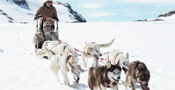 Tromsø: Dog Sledding Tour
