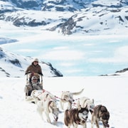 Tromsø: Dog Sledding Tour