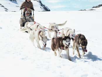 Premium Self-Drive + Meal