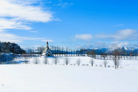 Hida: Snow Playground & Illuminated Gassho Village Day Trip