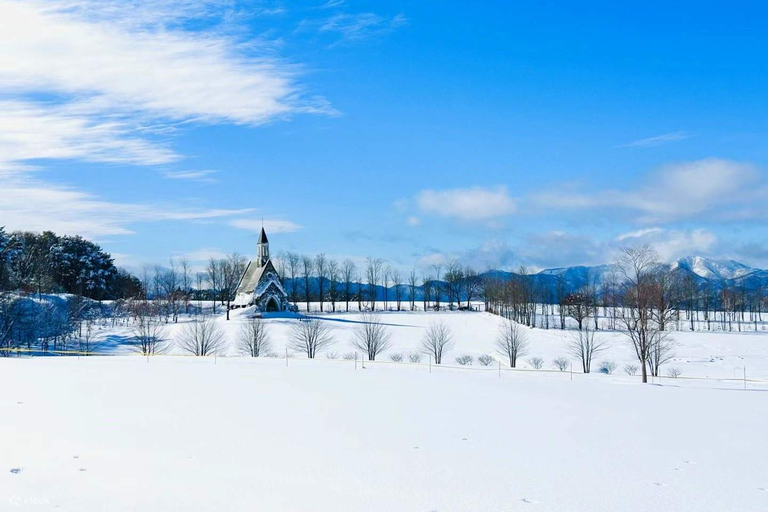 Hida: Snow Playground & Illuminated Gassho Village Day Trip