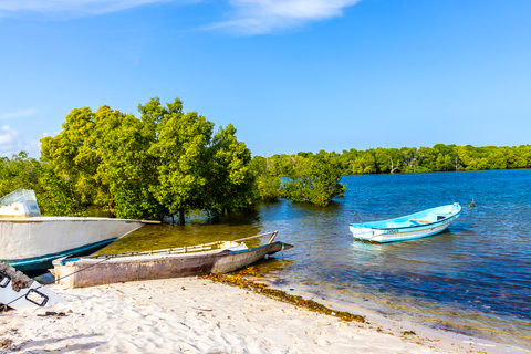 Exploring Nature's Treasures: A Private Day Trip in Diani Exploring Nature's Treasures: A Day Trip in Diani