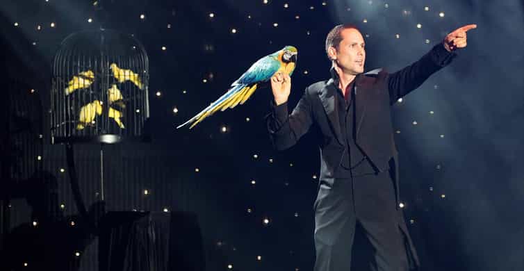 Las Vegas: V The Ultimate Variety Show photo 5