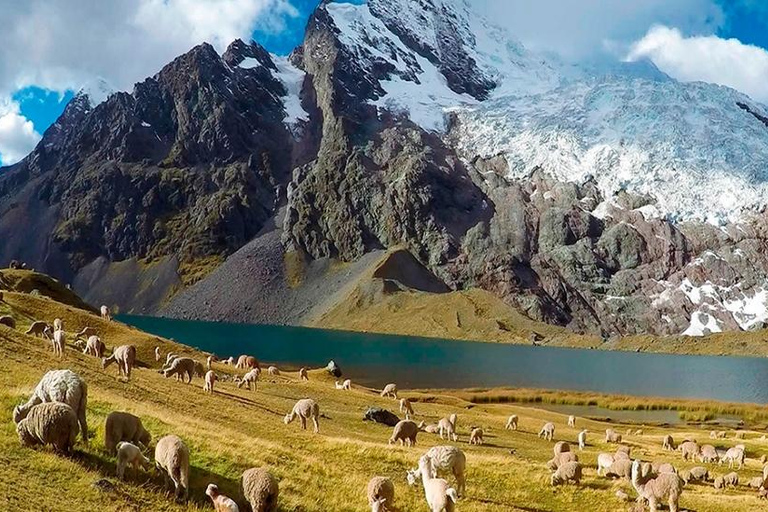 Depuis Cuzco : Caminata hacia Ausangate 7 Lagunas 1 dia