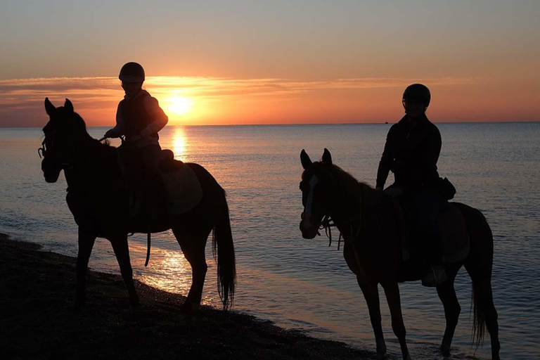 Antalya : équitation en bord de mer et dans la forêtAntalya : Balade à cheval en bord de mer et en forêt