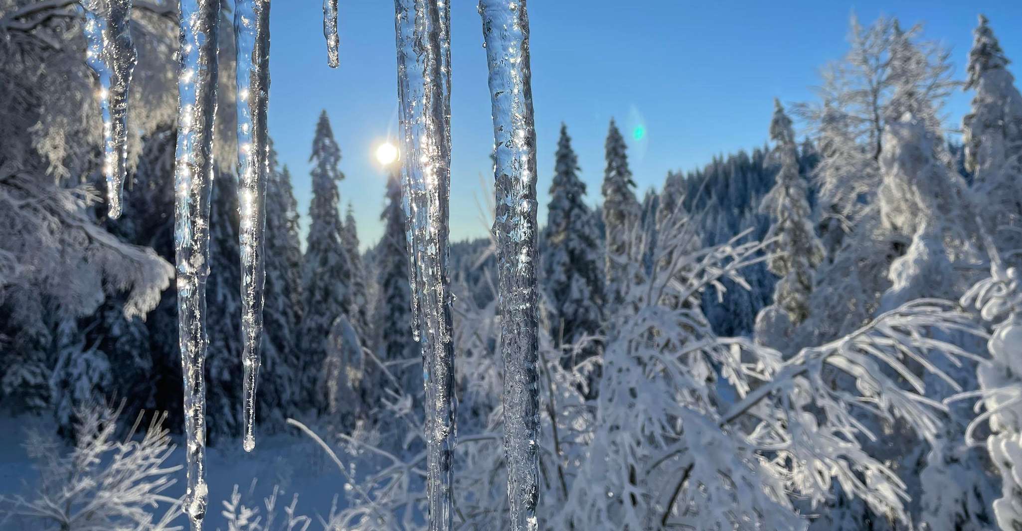 奥斯陆奥斯陆,奥斯陆马马克森林向雪鞋游 - Hizvo