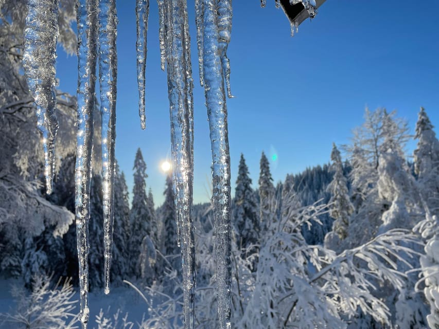 Snowshoe tour in winter wonderland  GetYourGuide