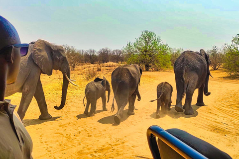 Viagem de 1 dia saindo de Victoria Falls: Safári terrestre e fluvial no Parque Nacional de Chobe