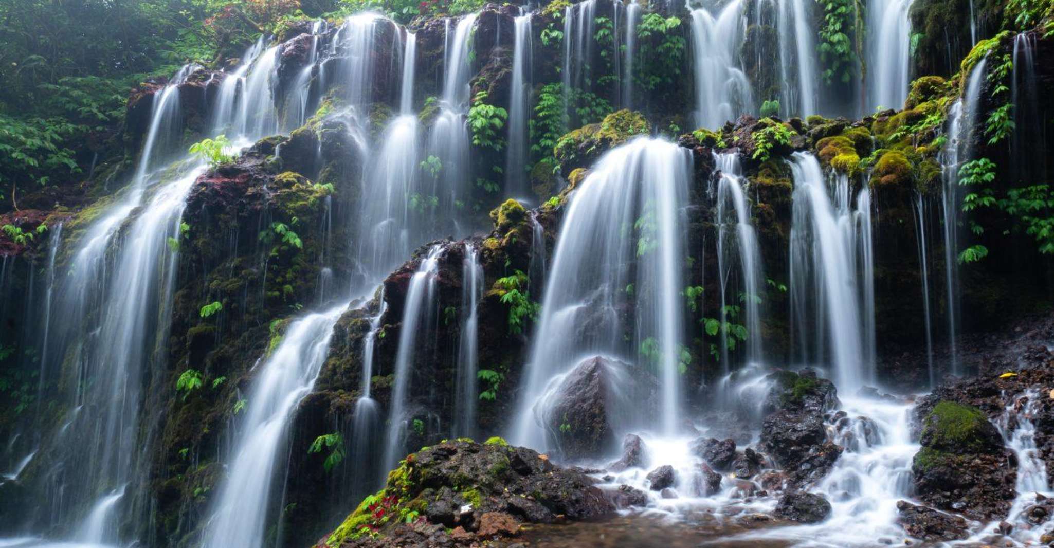 Munduk, Banyu Wana & Sekumpul Waterfall Trekking with lunch - Housity