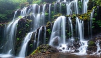 Munduk, Banyu Wana & Sekul Waterfall Trekking с обедом - Housity