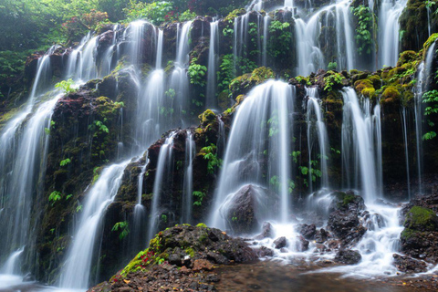 Munduk: Banyu Wana & Sekumpul-watervaltrekking met lunchTour met ophalen vanuit Munduk Area