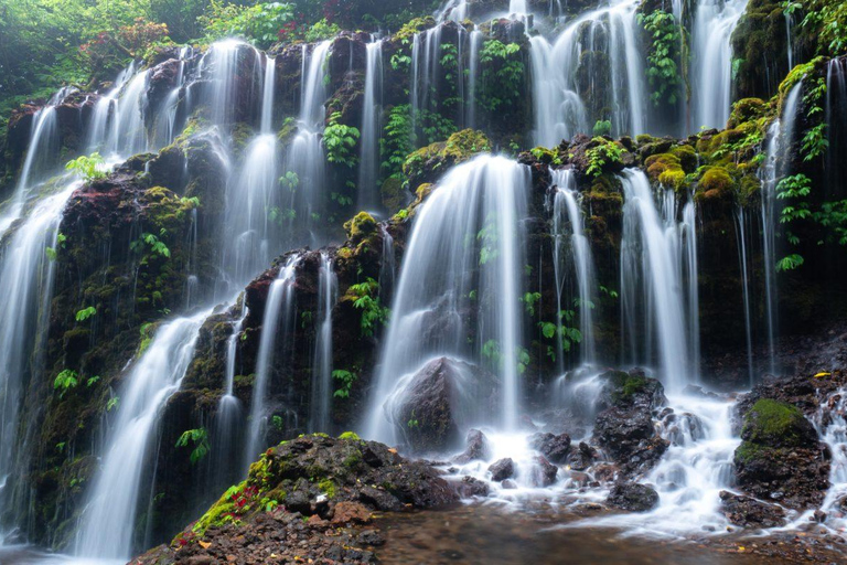 Munduk: Banyu Wana & Sekumpul-watervaltrekking met lunchTour met ophalen vanuit Munduk Area