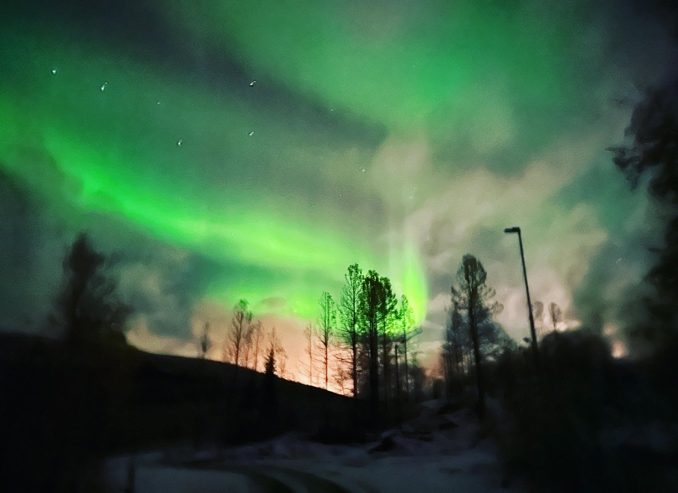 Harstad/Narvik/Tjeldsund: Nordlys-sightseeing i bil