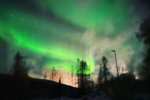 Harstad/Narvik/Tjeldsund: Northern Lights Sightseeing by Car