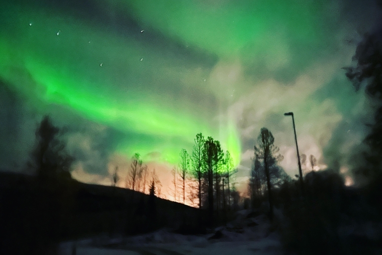 Harstad/Narvik/Tjeldsund: Nordlicht-Sightseeing mit dem Auto