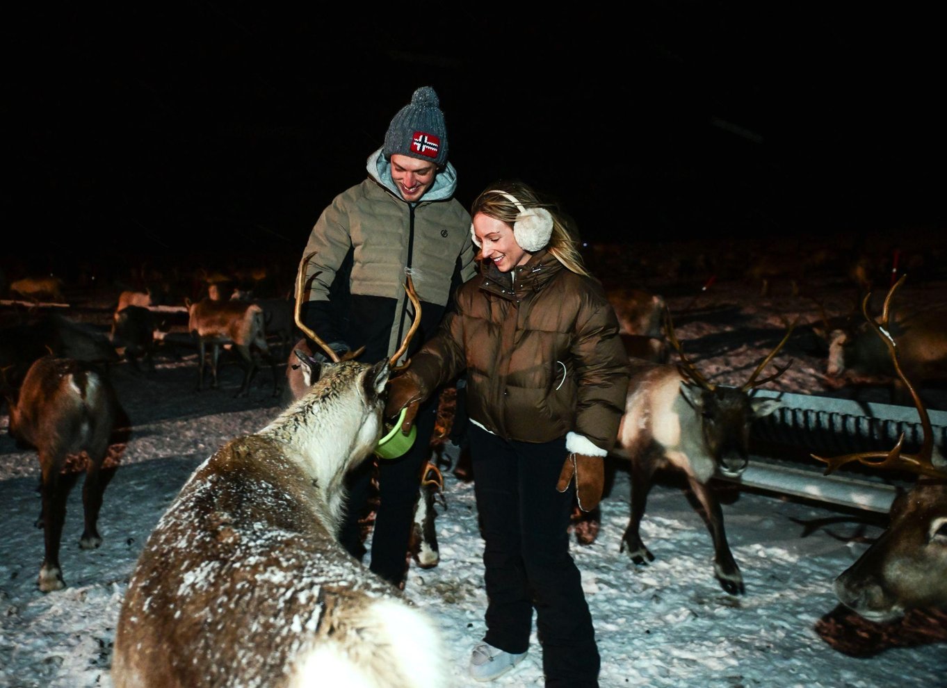 Tromsø: Middag i rensdyrlejr med mulighed for at se nordlyset